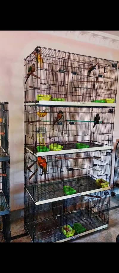12 aur 6 portion parrot cage aur handtame birds cage