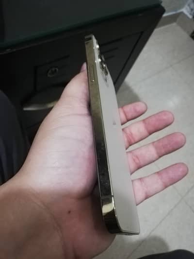 Apple iPhone 12 Pro Max