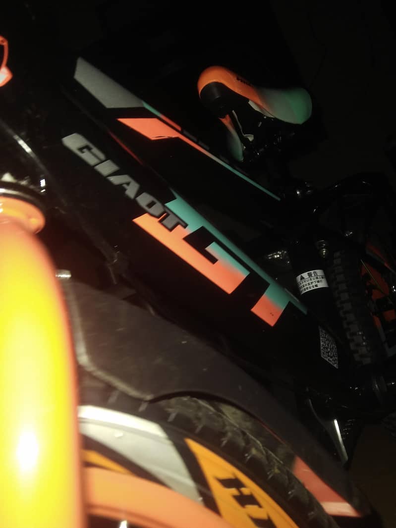 bicycle 2