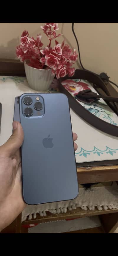 Apple iPhone 12 Pro Max waterpack