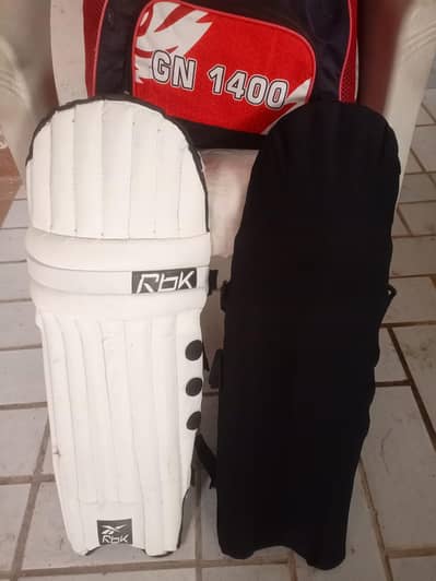 Cricket bag