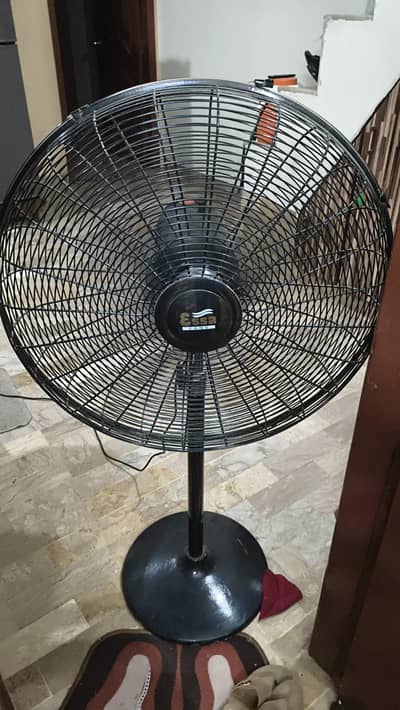 extand fan 24 inch