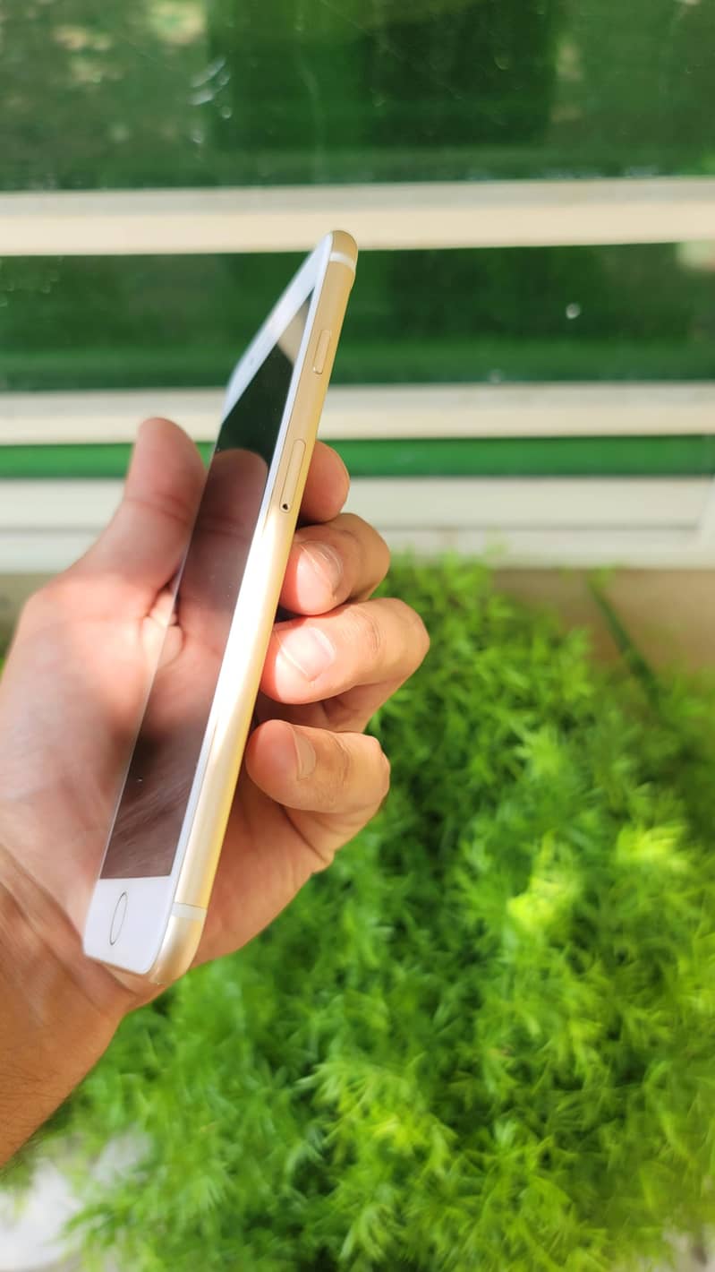 Apple iPhone 7 Plus 1