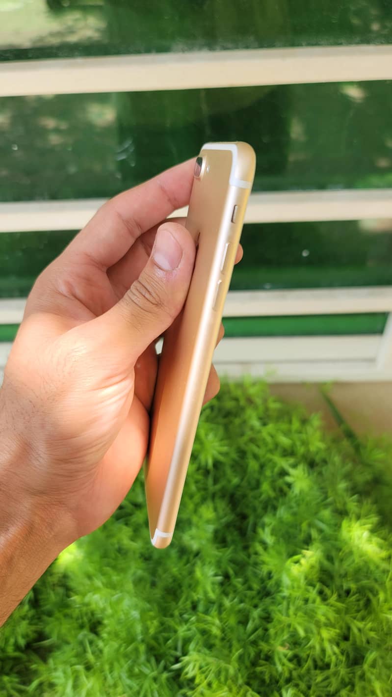 Apple iPhone 7 Plus 3