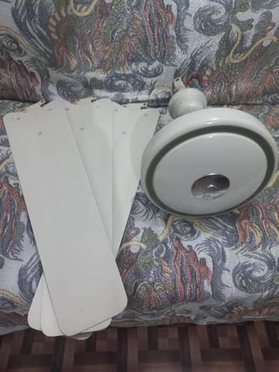 ceiling fan