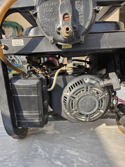 Generator Angel Jiang Dong