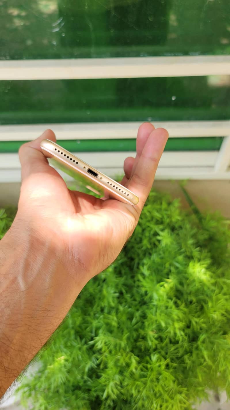 Apple iPhone 7 Plus 3