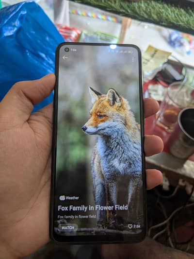 OPPO F19