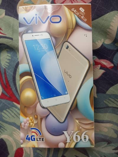 Vivo Y66