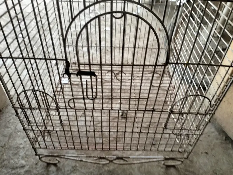 Parrot Cage For Sell — photo 4
