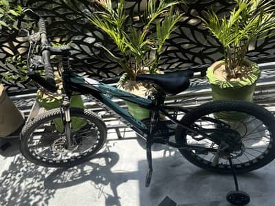 Roal Rider cycle for sale in excellent condition