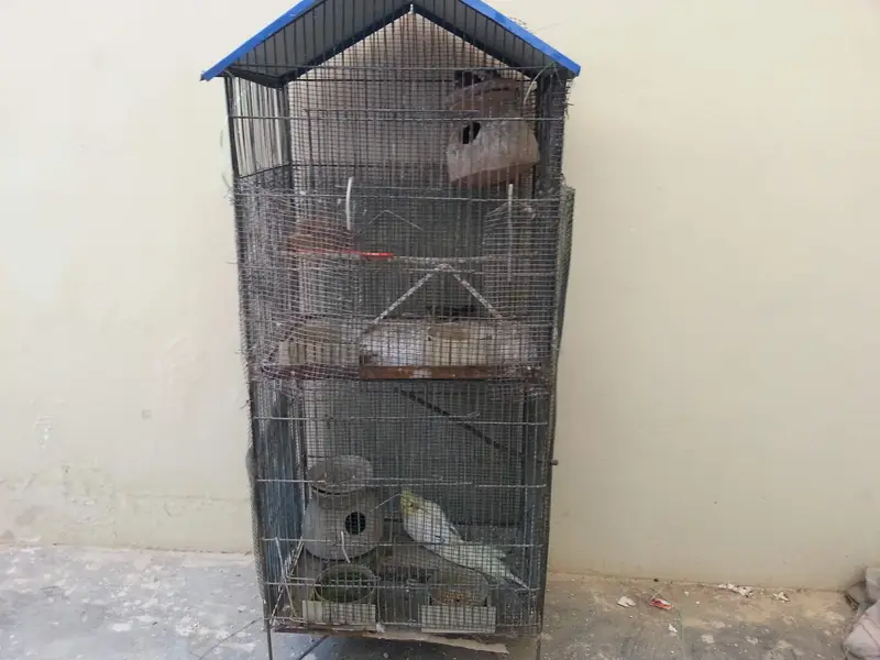 cages