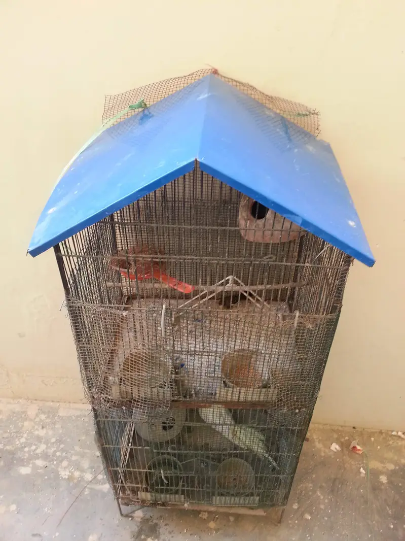 cages — photo 2