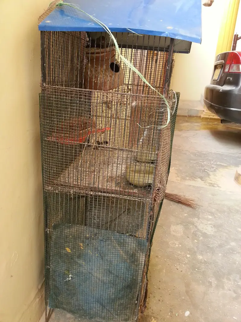 cages — photo 3