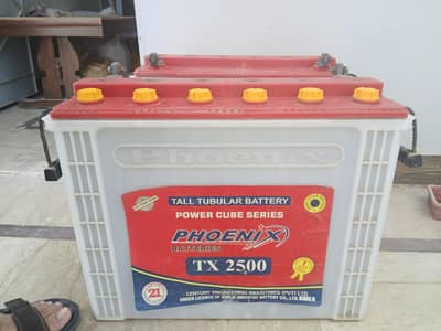 Tabular Batteries 2x12V   230Ah. TX2500