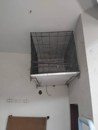 cages for sale