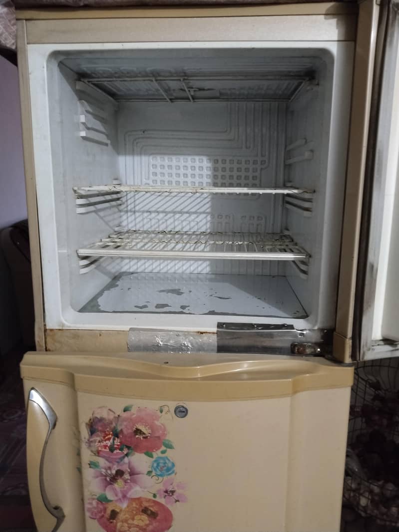 pell fridge 5