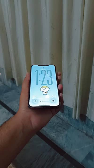 Apple iPhone 12 Pro Max