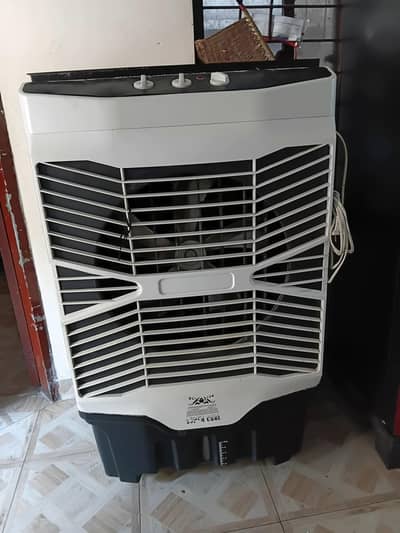all condition good original condition  collar 2 sizan aus hiwa hy