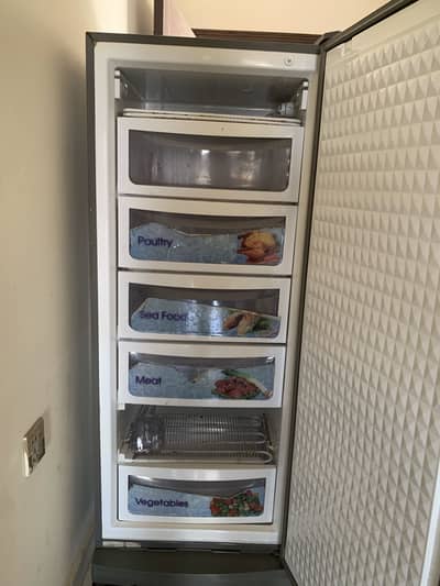 Upright Freezer