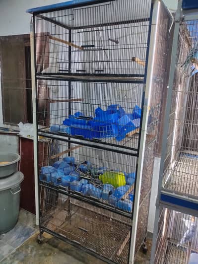 04  Lovebird and budgie Breeding Cages