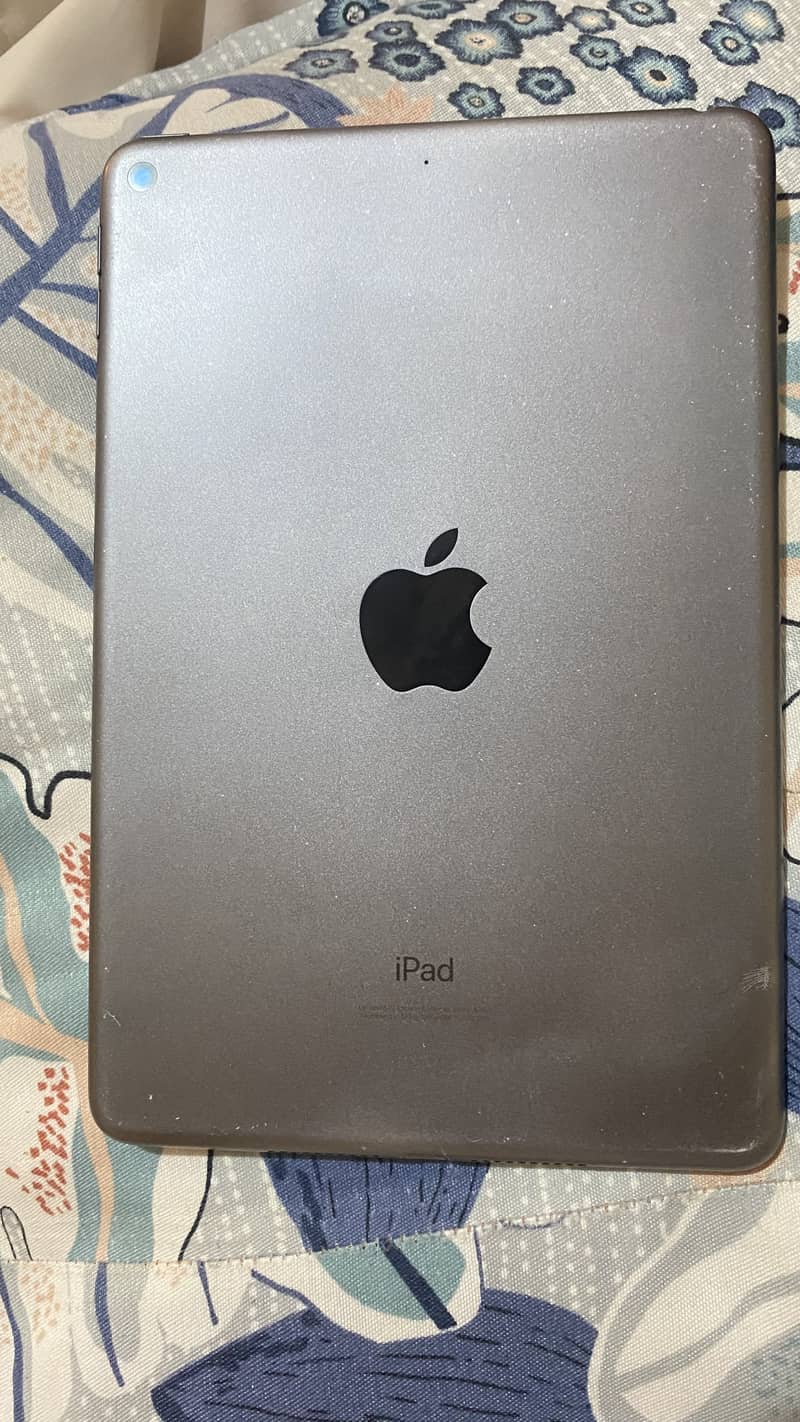 iPad mini 5 0