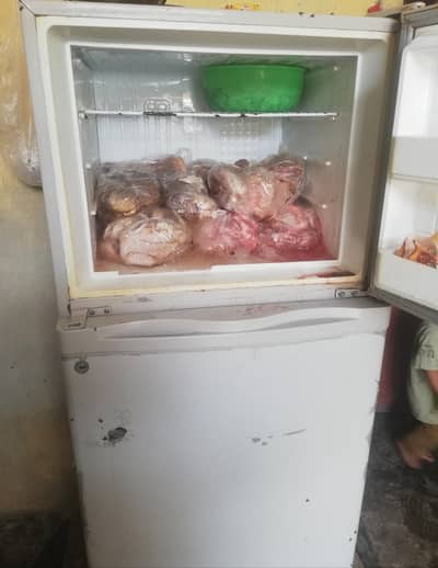 Dawlenc fridge