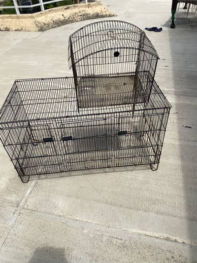 2 birds cage