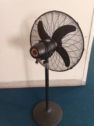 Pedestal Fan