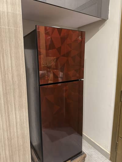 Glass two door PEL fridge