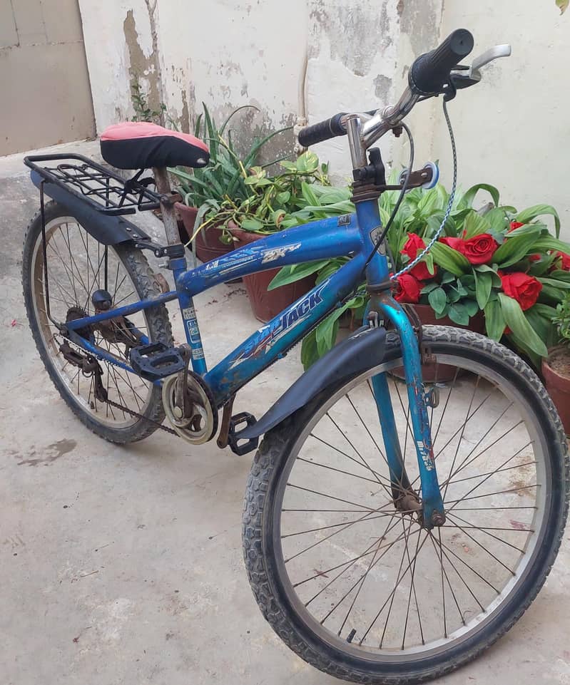 bicycle 7