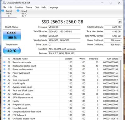 M. 2 SATA SSD 256GB (100% health / Pristine Condition)-2280 form factor