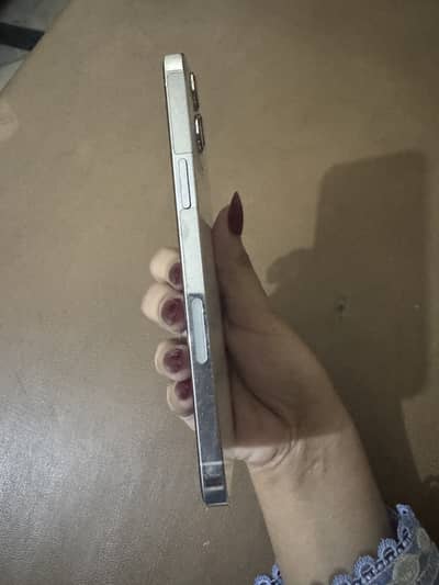 Iphone 12pro max Pta approved