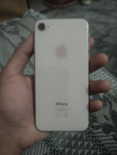 Apple iPhone 8 PTA approved