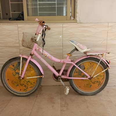 Baby cycle