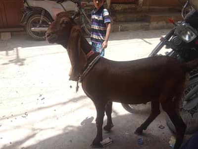 available for sale