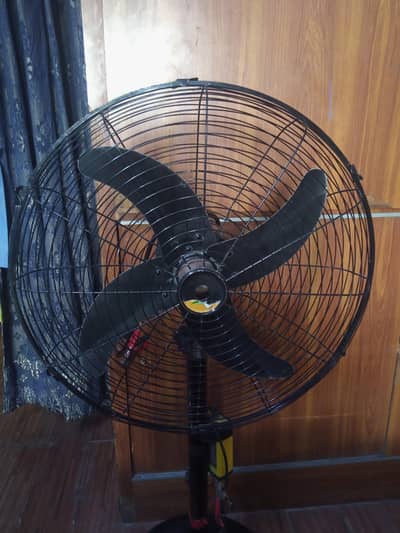 Rado DC Padedtal Fan