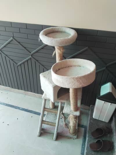 cat house