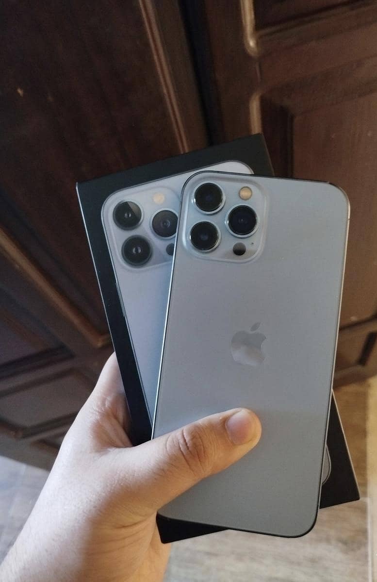 Apple iPhone 13 Pro Max 1