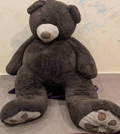 Teddy Bear