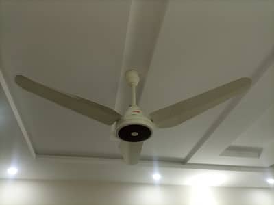 56 " Lahore Megnam ceiling Fans
