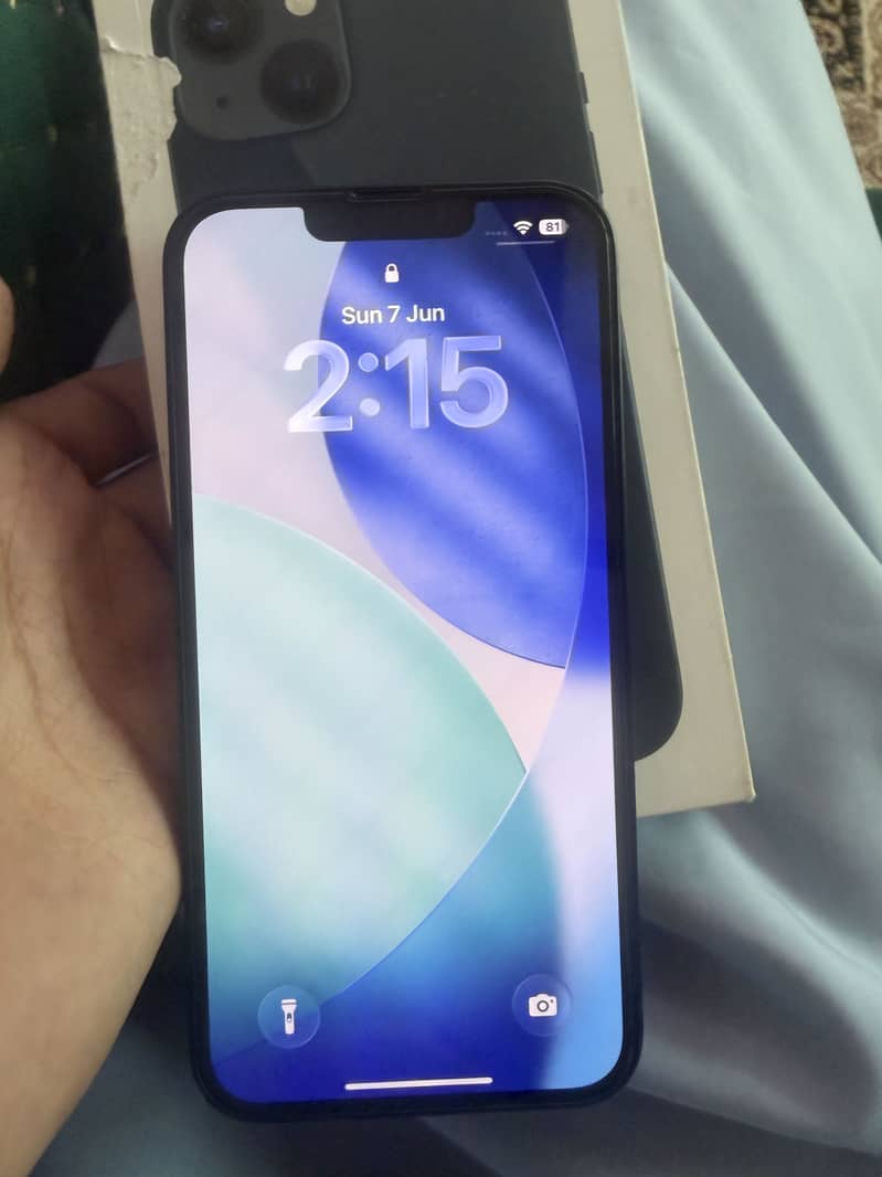 Apple iPhone 13 0