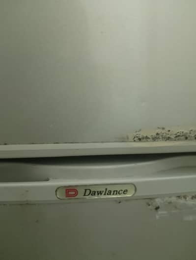 fridge