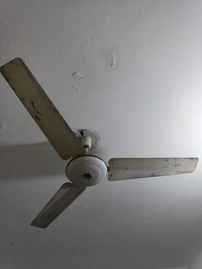 Indus celling Fan