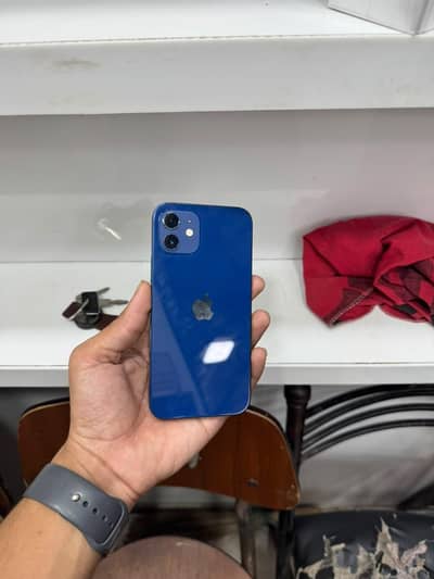 Apple iPhone 12