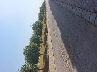 Brand New Flat for Rent in Bahria Enclave Sector C1 | Near Main Gate | Ready to Move | Prime Location