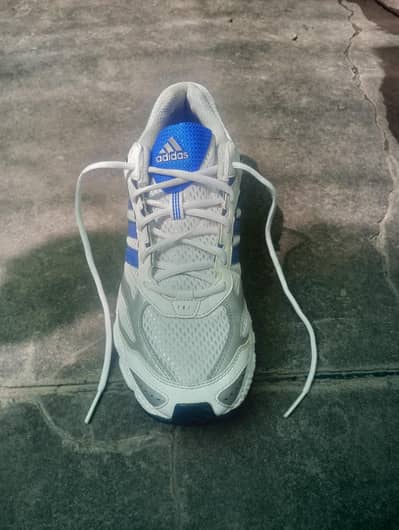 Adidas (Original)