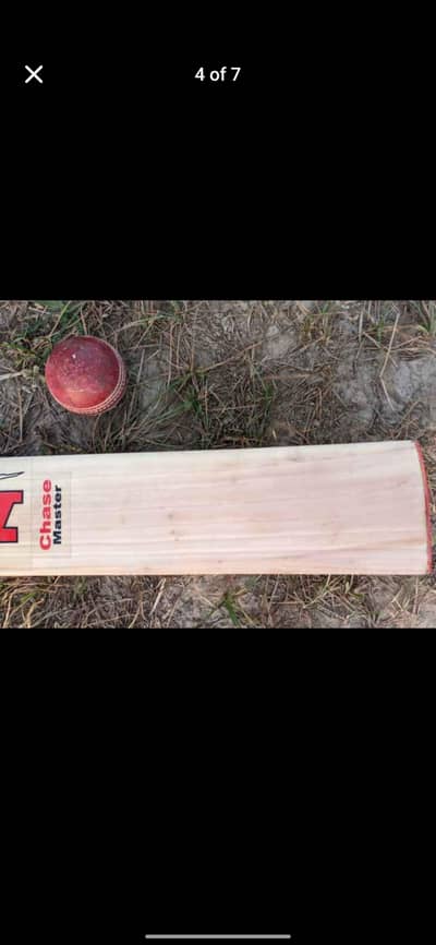 pure English willow player edition bat