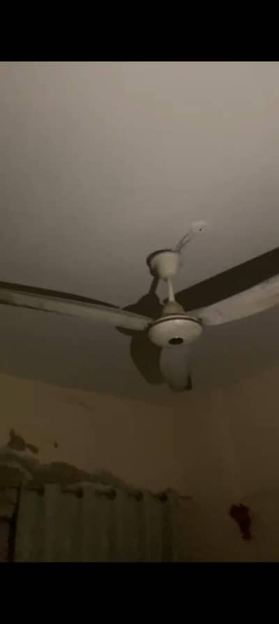 Ceiling Fans for Sale – 3 Available
