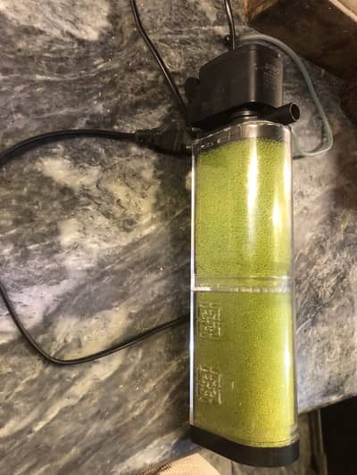 Parrot fish and aquarium filter > Read add